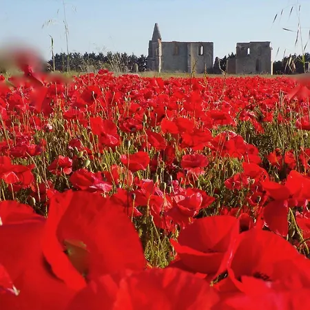 Le Moulin Des Sables וילה לה פלוט